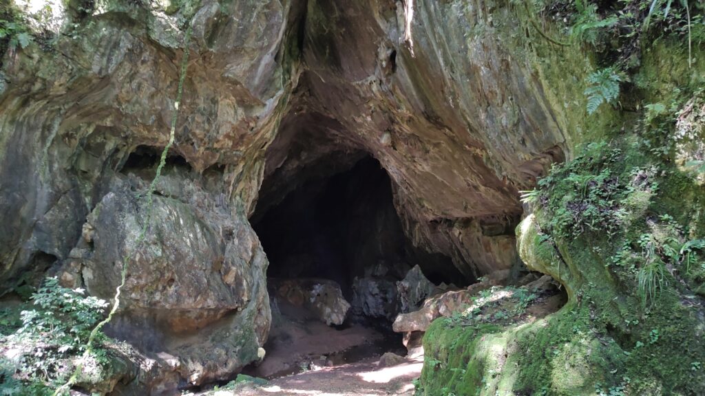 Parque Estadual De Campinhos, Em Tunas, Abre Os Portões Para A População Gruta Dos Jesuitas E A 5A Maior Do Estado Com Extensao De Aproximadamente 550 Metros Parque Estadual De Campinhos, Em Tunas, Abre Os Portões Para A População