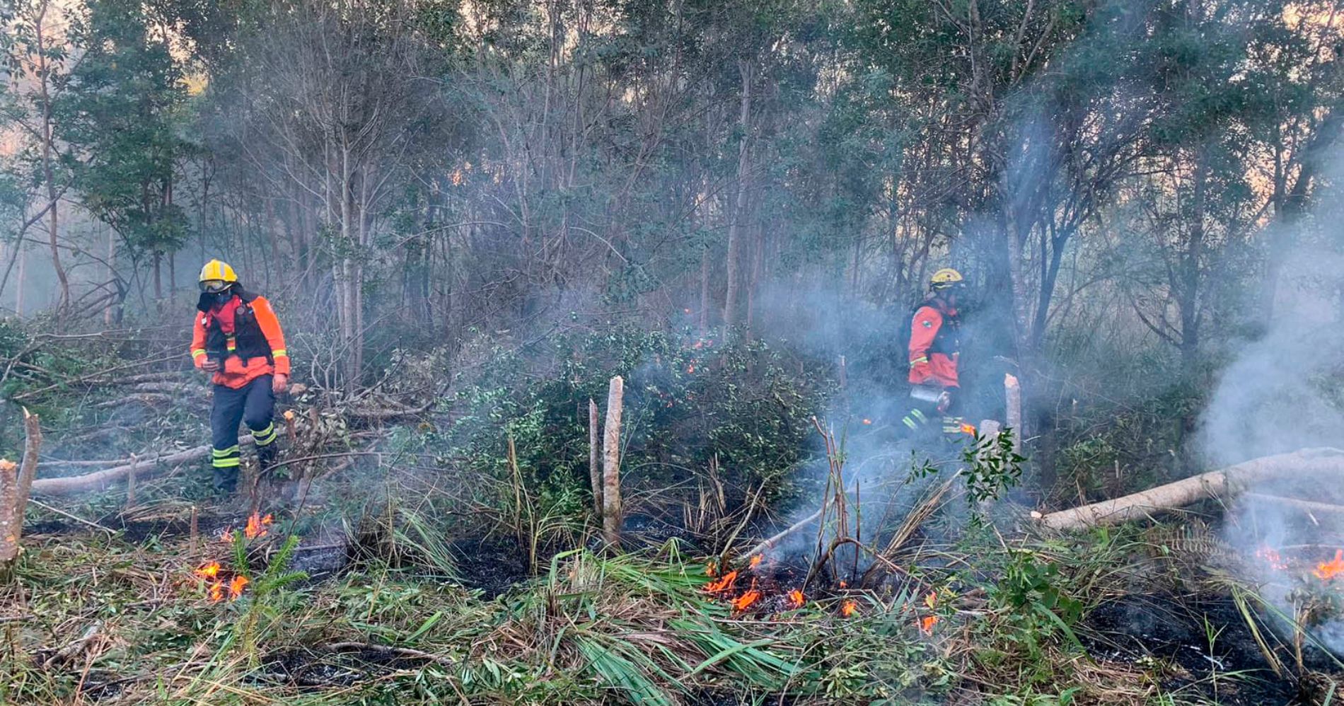 Corpo de Bombeiros do Paraná inicia operação de combate a incêndios florestais no estado, com o apoio do Simepar