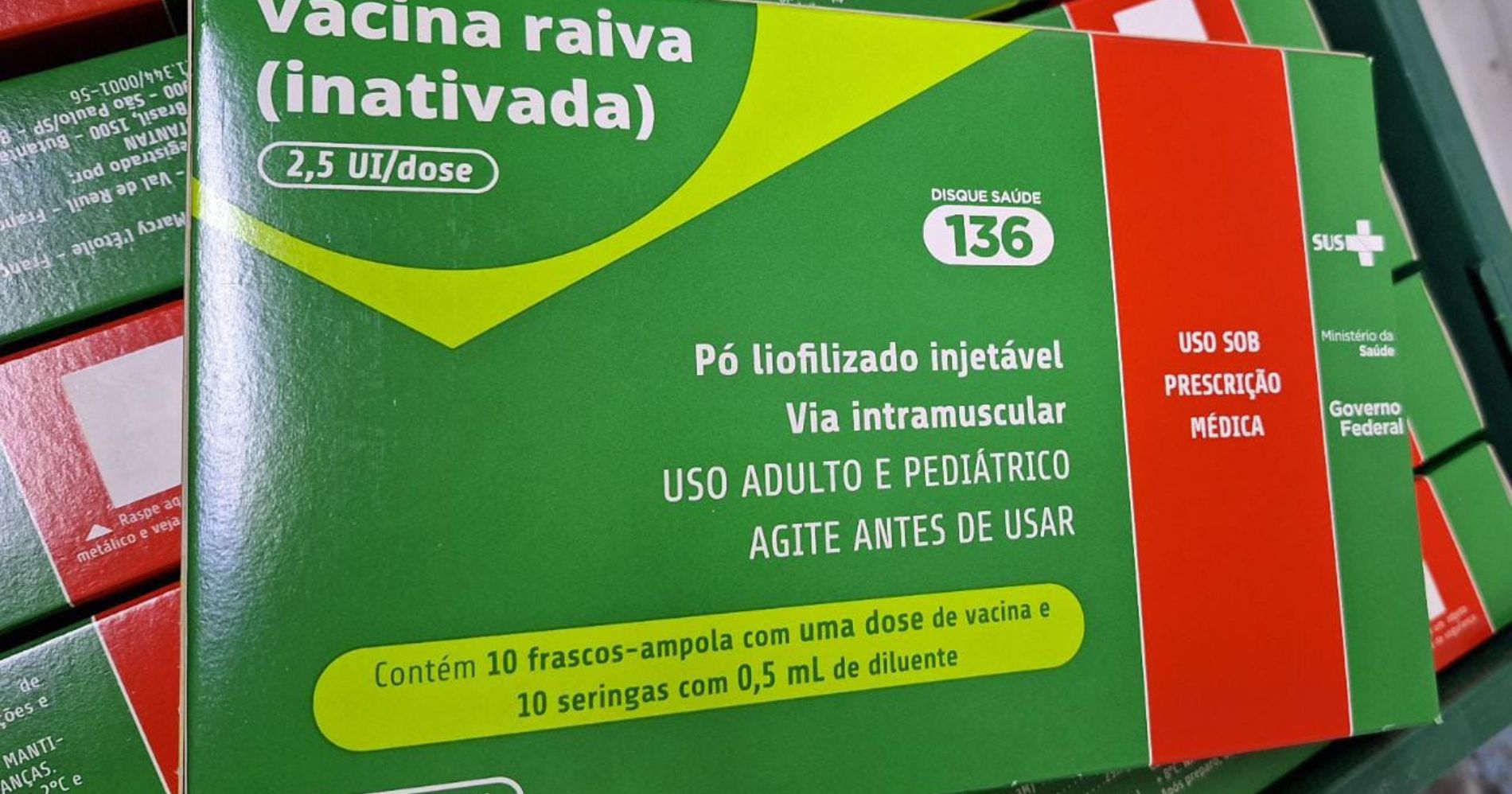 O Paraná é abastecido com 10 mil doses de vacina antirrábica pela Secretaria de Saúde