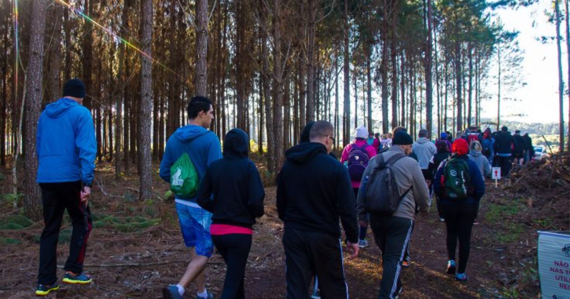 Prefeitura de São José dos Pinhais promove 3ª edição da Caminhada Internacional na Natureza - Circuito Faxina