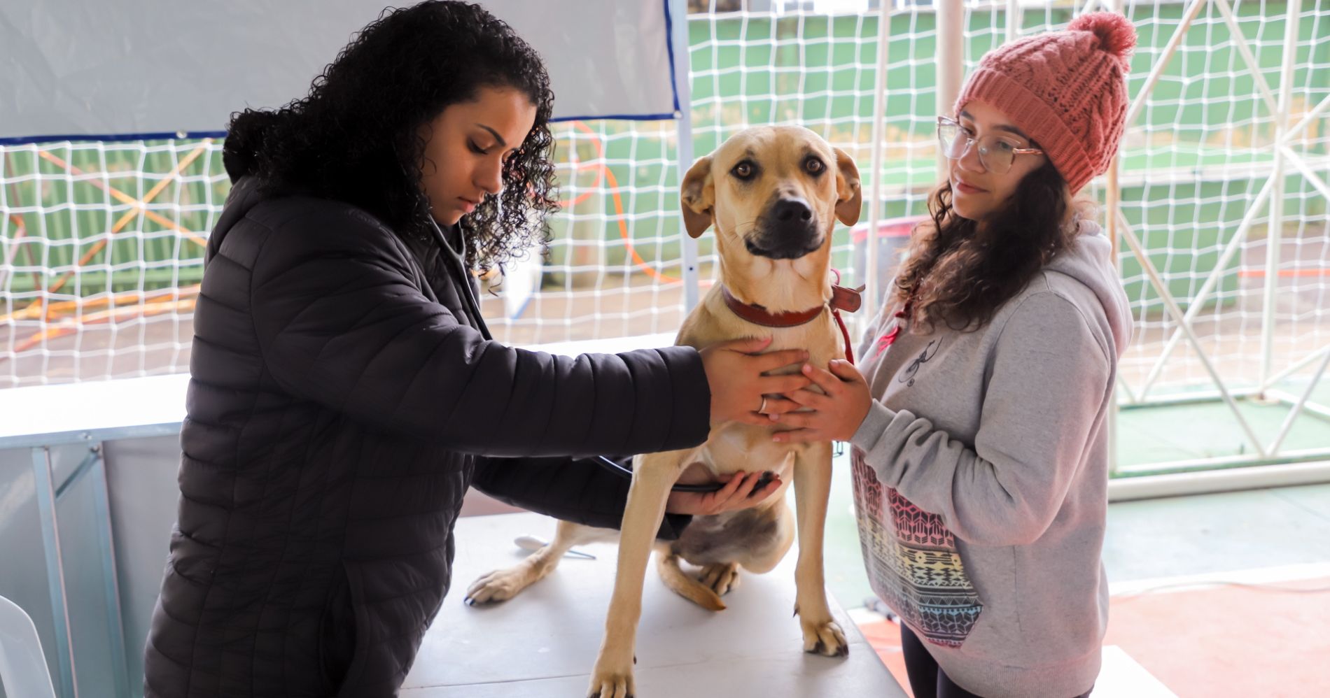 Programa "Castra Pet Campina" realiza castração de animais em Campina Grande do Sul