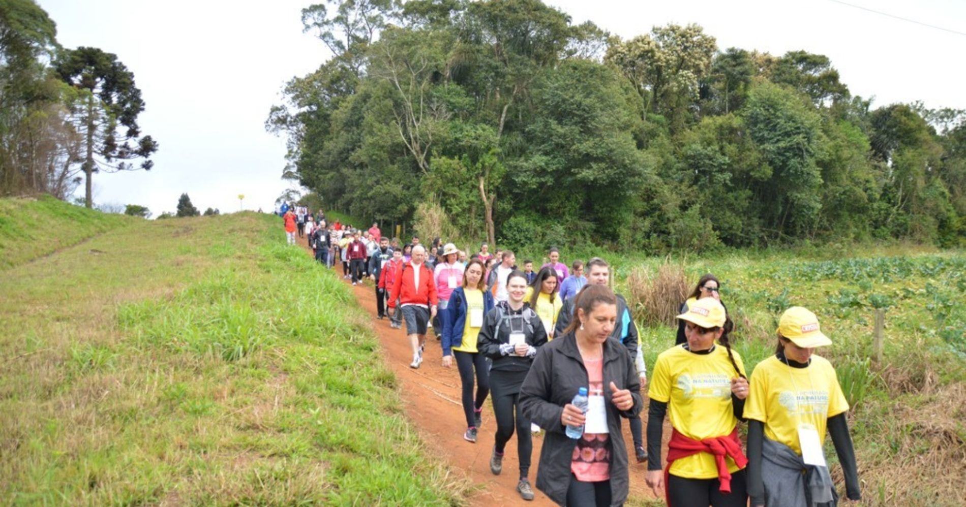 10ª Caminhada Internacional na Natureza – Circuito Rota das Colônias em São José dos Pinhais acontece neste domingo (17)