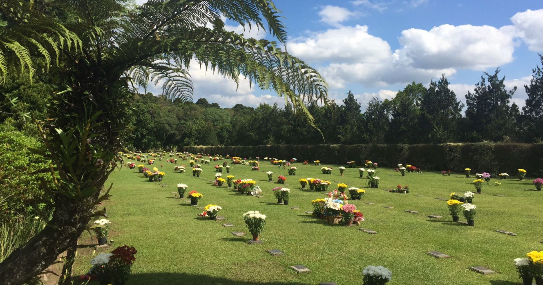 Parque Memorial Graciosa se prepara para receber cerca de 6 mil pessoas no feriado de Finados