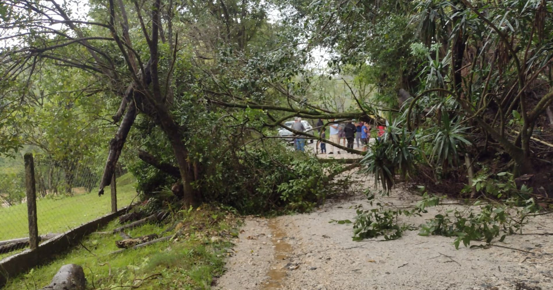 Prefeitura de Colombo mobiliza esforços para reparar danos causados por chuvas e ventos