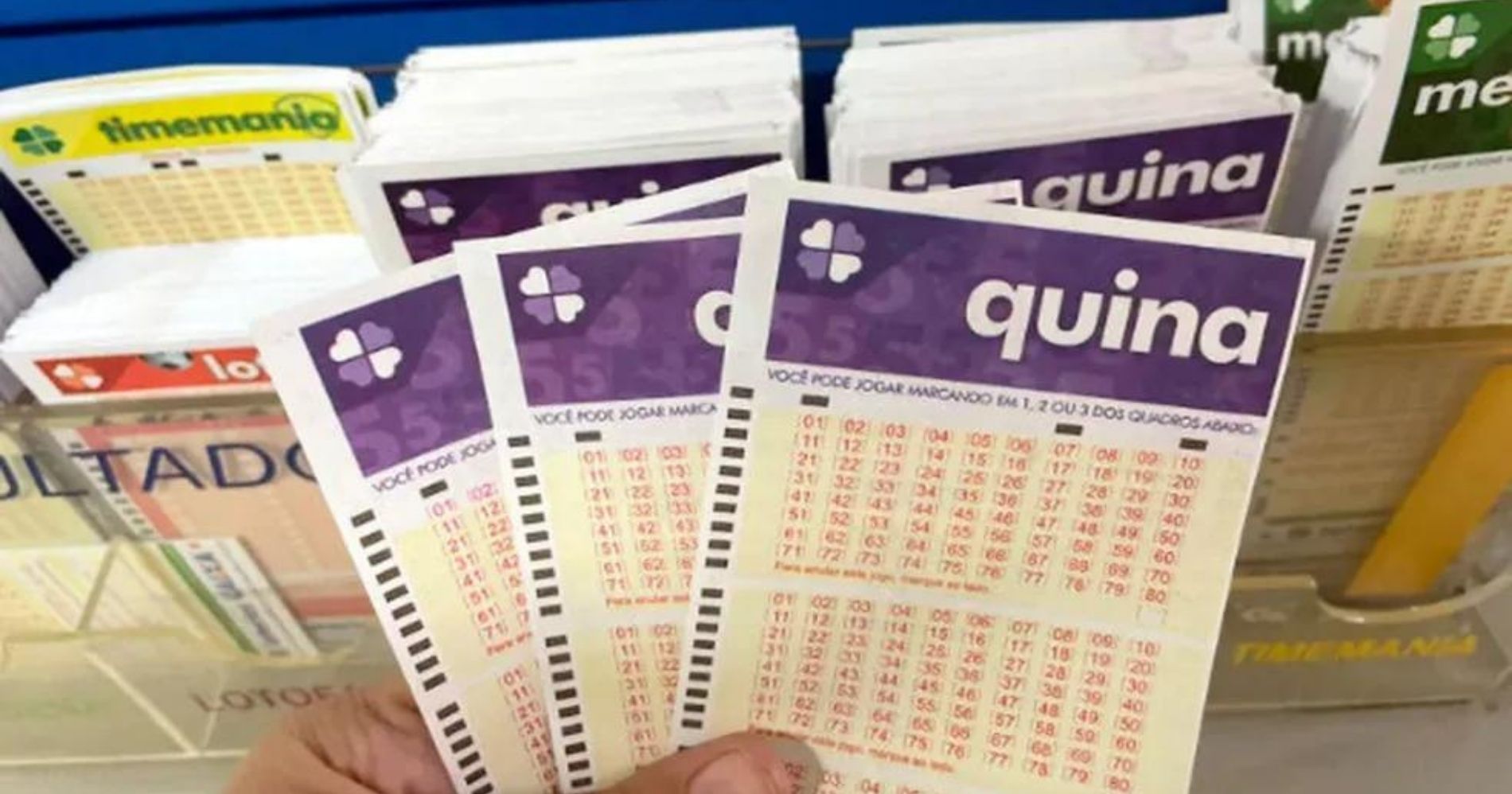 Resultado da Quina: aposta de Aguaí acerta quatro números e fatura R$ 10,1 mil
