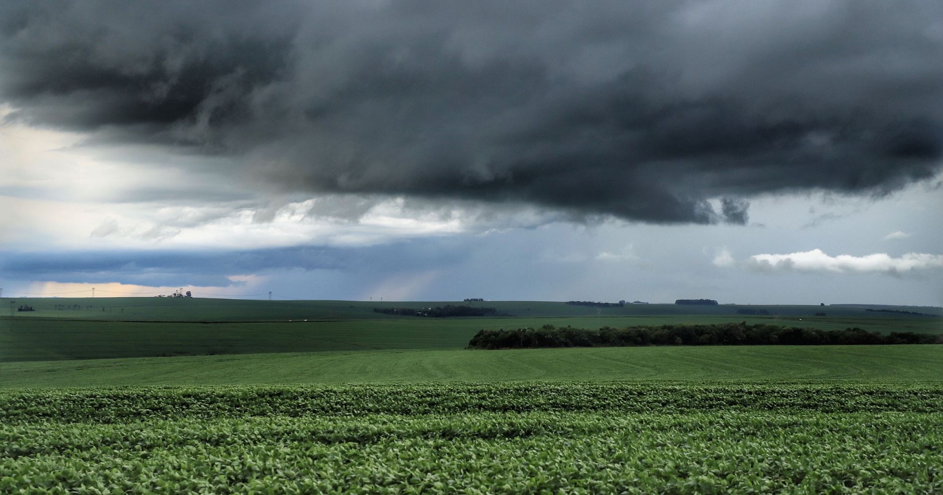 Chuvas acima das médias afetam produção agropecuária no Paraná
