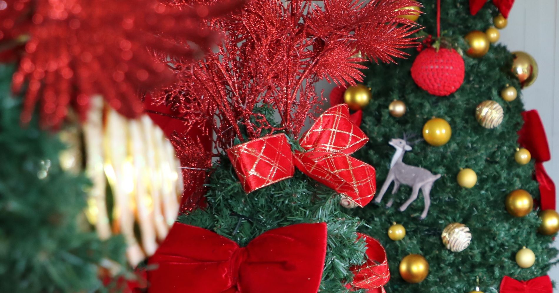 Aberta a fase de votação para eleger a melhor decoração de Natal em Pinhais