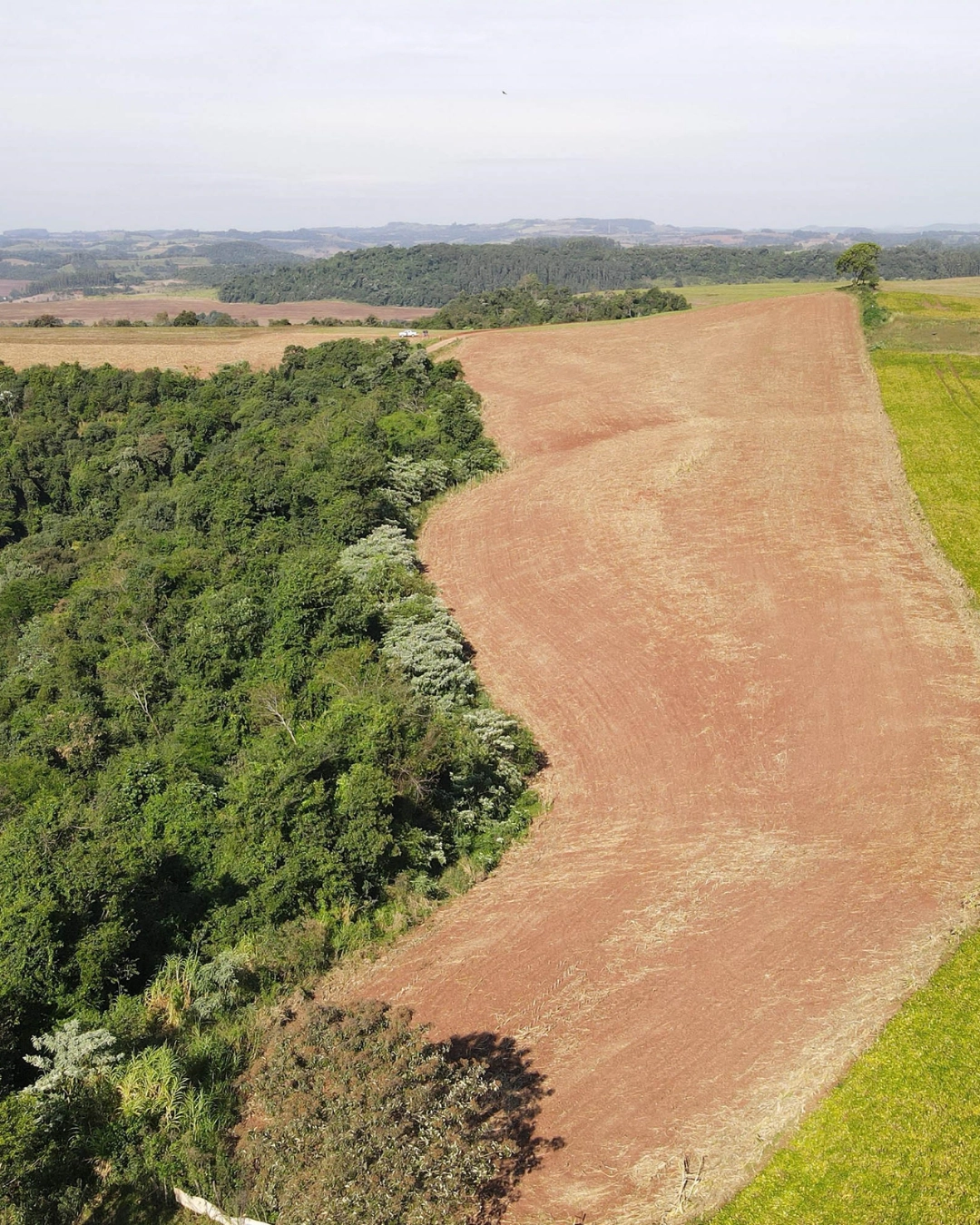 Imagem de destaque - Ação contra desmatamento ilegal no Sudoeste gera R$ 2,8 milhões em multas