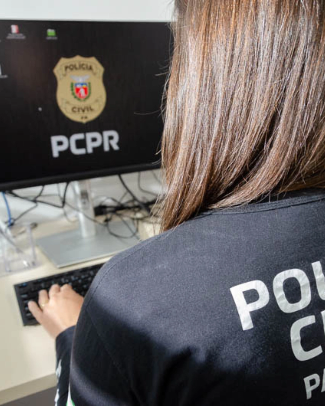 Imagem de destaque - Níveis médio, técnico e superior: PCPR disponibiliza 97 vagas de estágio em 40 municípios