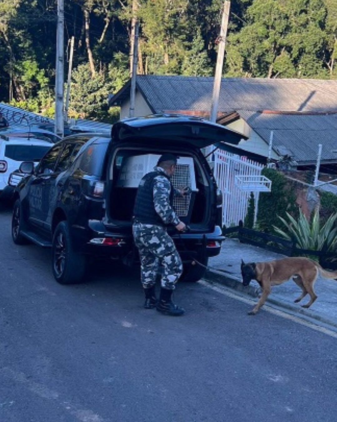 Cães farejadores localizam drogas em posse de jovem no bairro Colônia Maria José