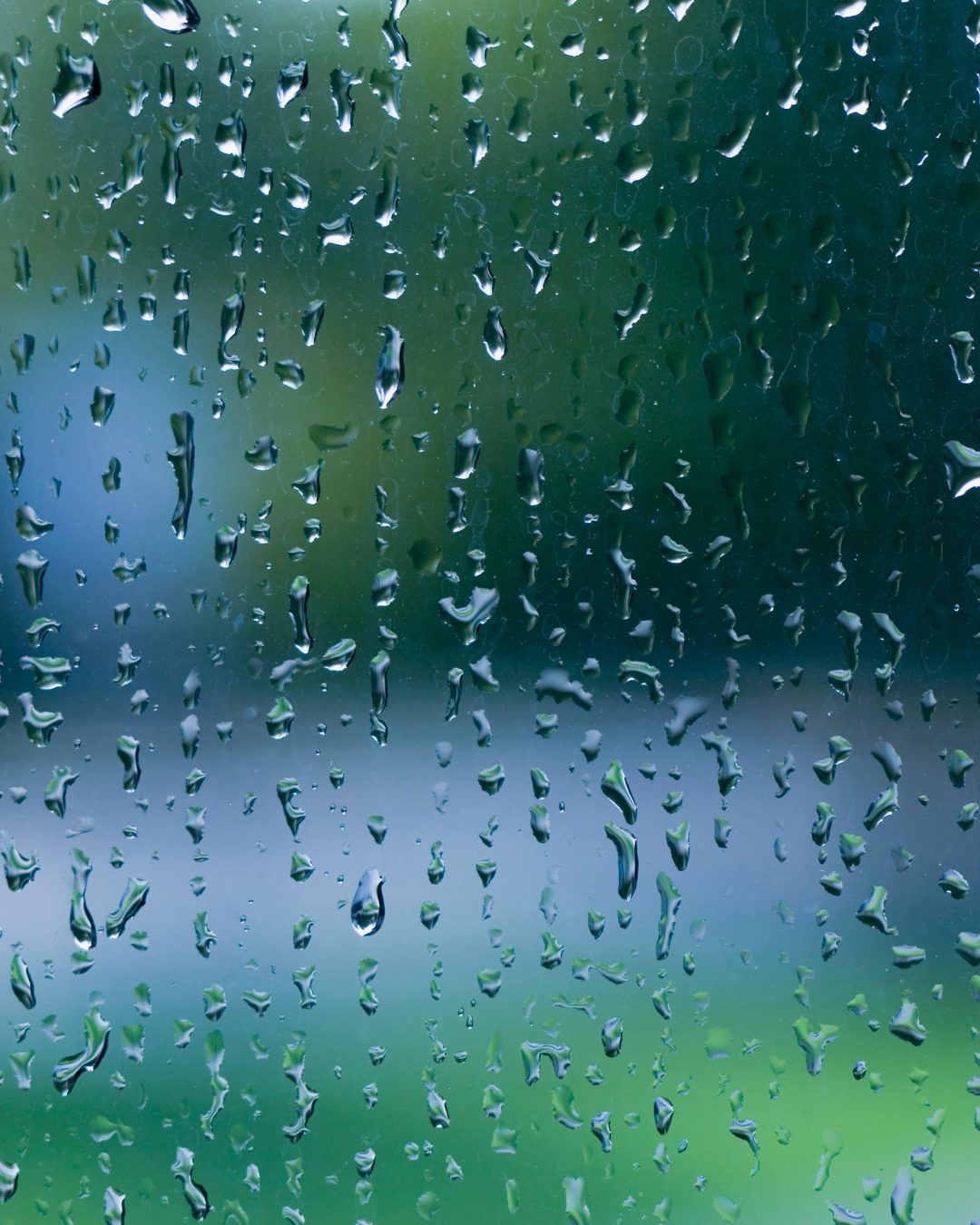 Imagem de destaque - Chuva causa queda de árvores em Curitiba; em três dias, cidade recebe metade do acumulado de julho