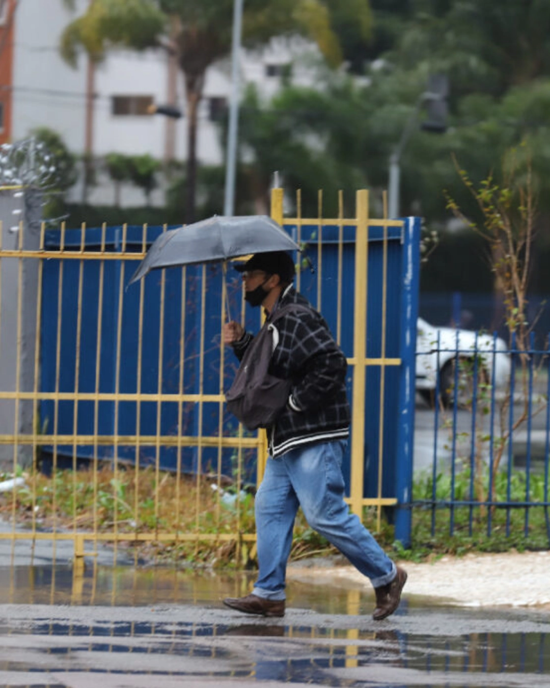 Imagem de destaque - Simepar alerta para fortes chuvas que devem atingir Curitiba nos próximos dias