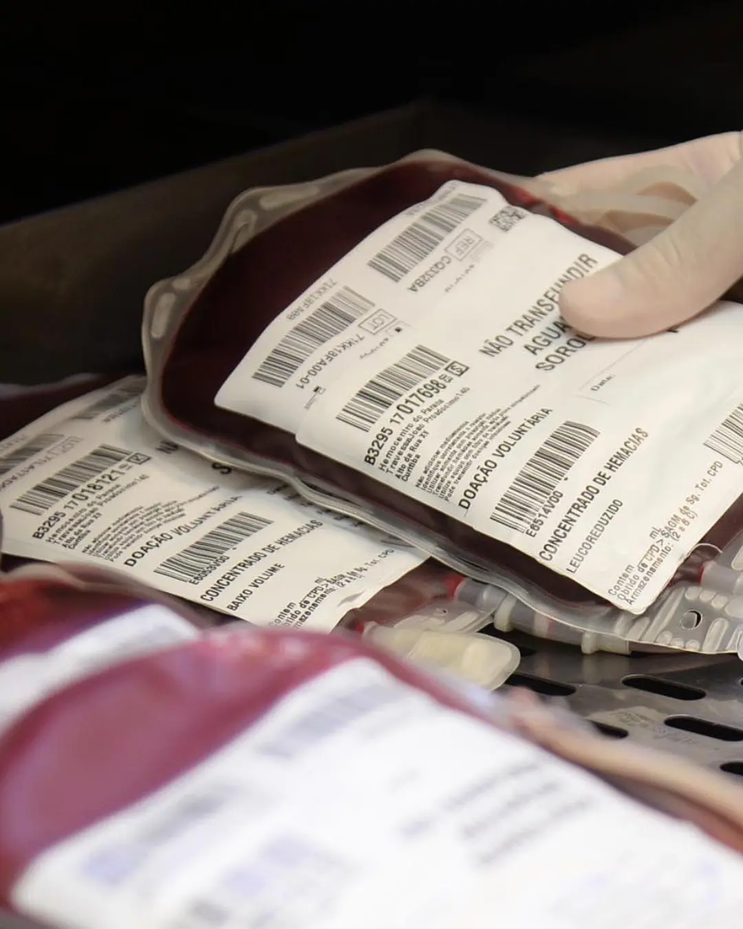 Paraná emite pedido urgente de doação de sangue para repor estoques críticos de O+ e O-