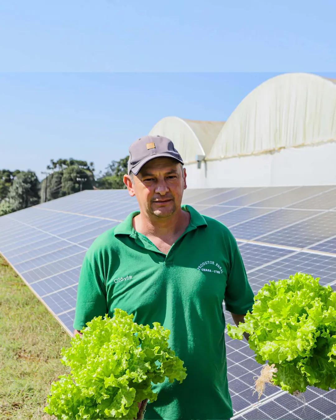 Agricultor de Colombo reduz conta de eletricidade em 85% com energia solar