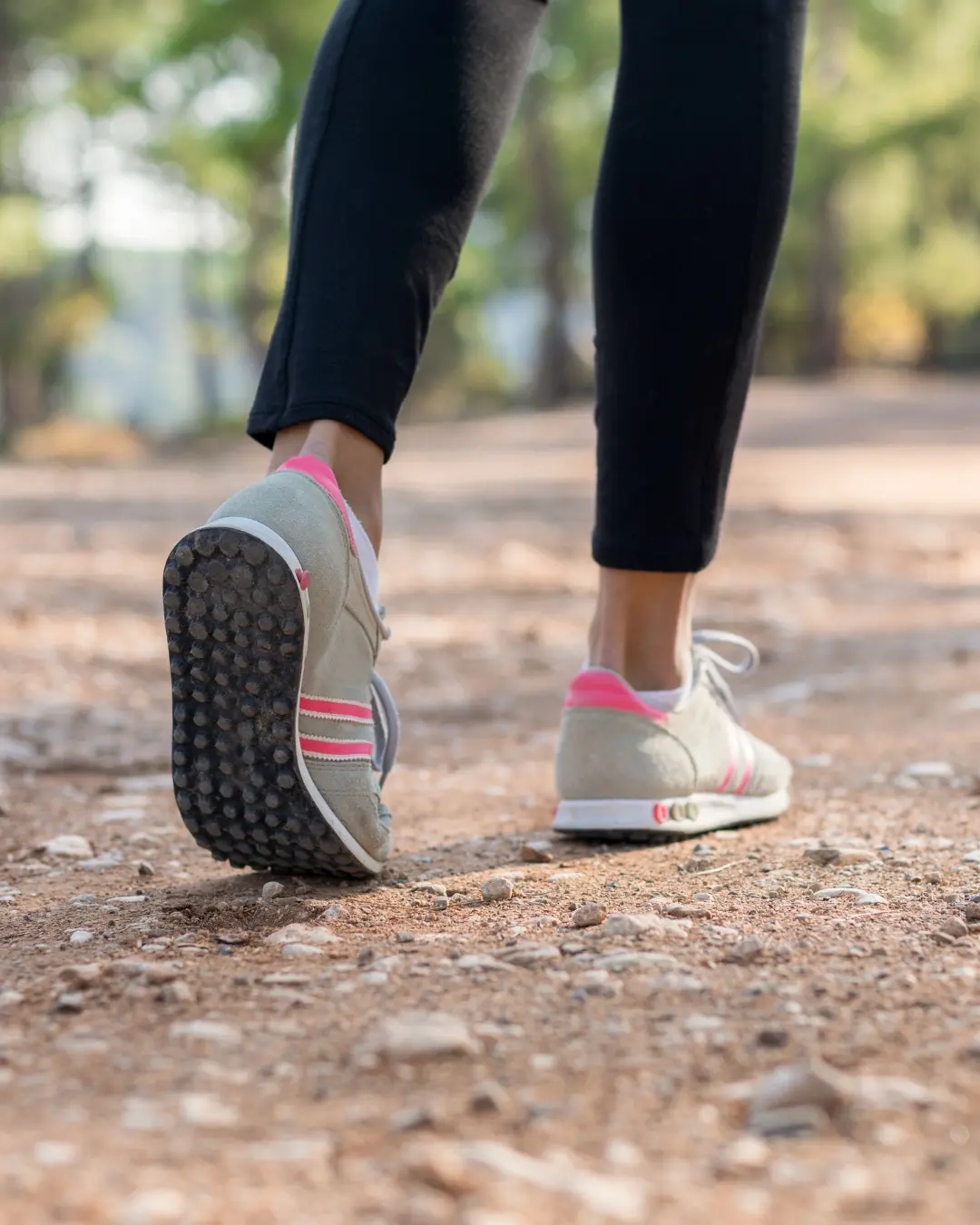 Caminhadas da Natureza em agosto incluem percurso em Mandirituba