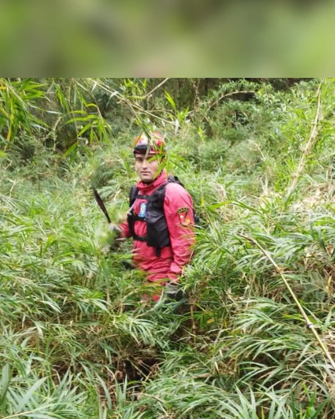 Corpo de Bombeiros interrompe buscas na Serra do Mar após relatos não confirmados