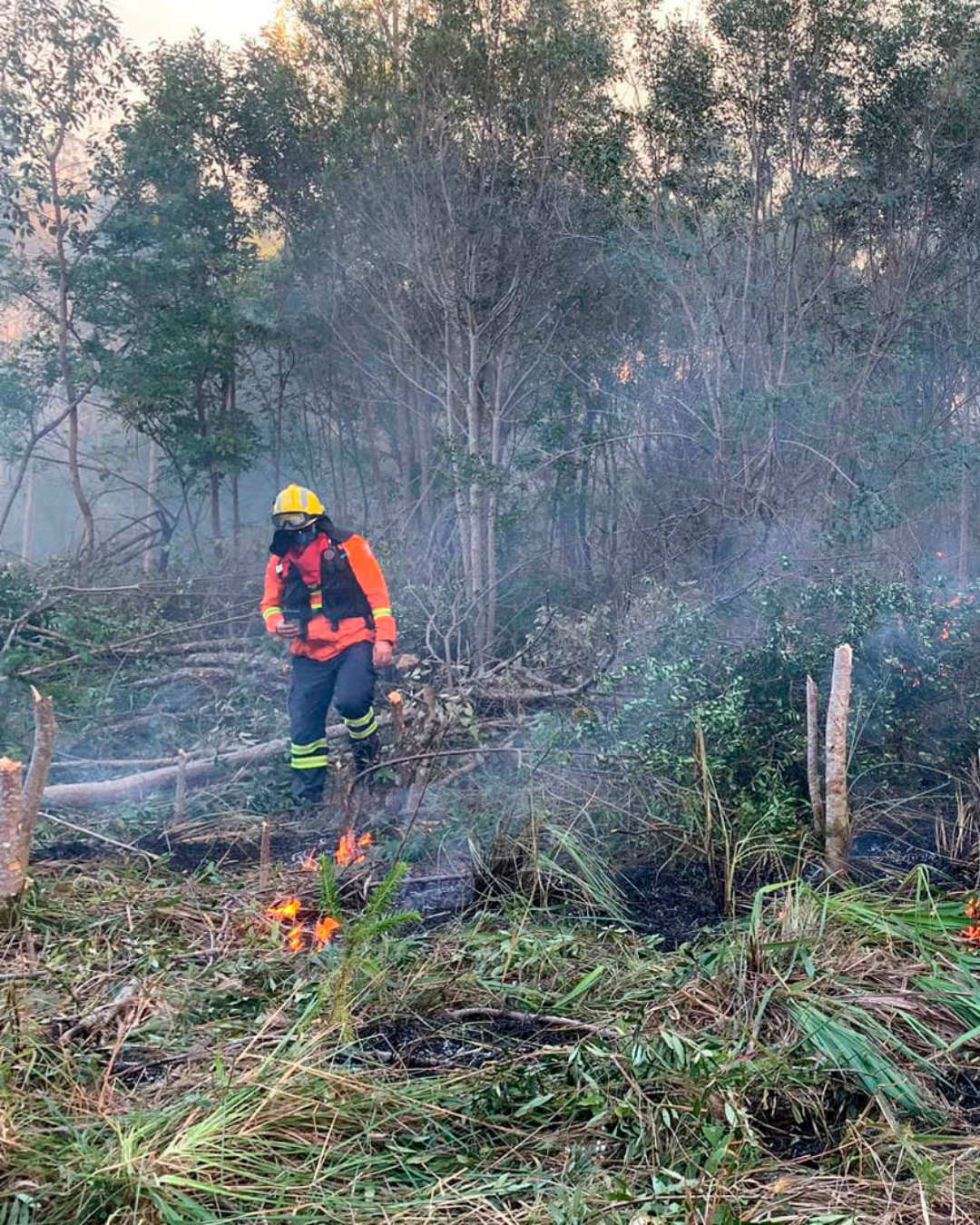 Corpo de Bombeiros alerta para risco elevado de incêndios florestais em agosto no Paraná