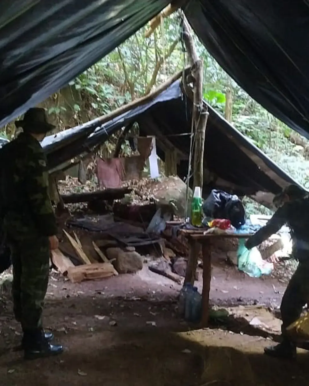 Operação conjunta destrói acampamento de caçadores no Pico do Marumbi