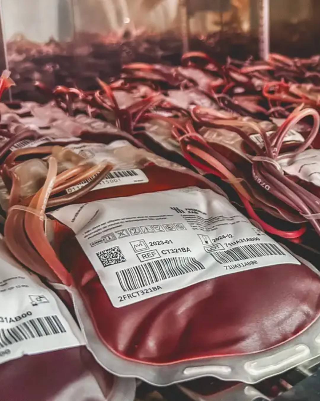 STF discute se Testemunhas de Jeová podem recusar transfusão de sangue no SUS