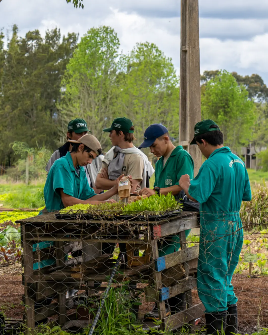 As inscrições para os cursos nos CEEPs e colégios agrícolas encerram-se nesta sexta-feira