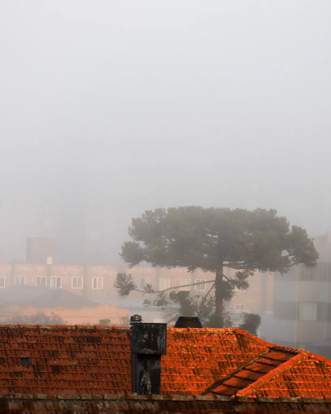 Curitiba terá início de semana com possível ‘calorzinho’ seguido de chuva intensa