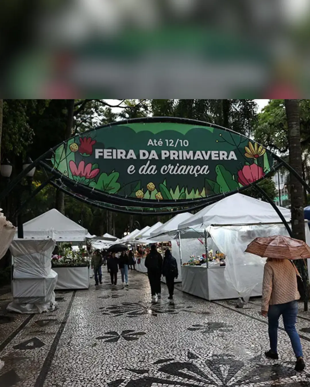 Feiras da Primavera e das Crianças encerram atividades em Curitiba neste sábado, 12 de outubro