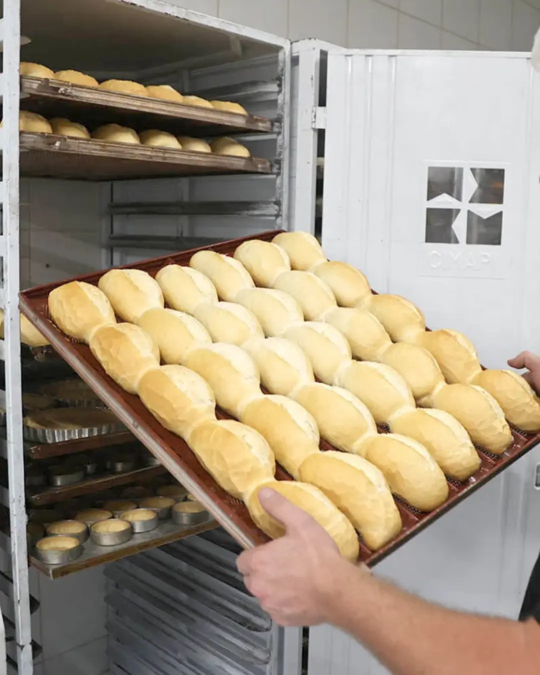 Panificadoras de Curitiba e região venderão pão sem impostos no Dia Mundial do Pão