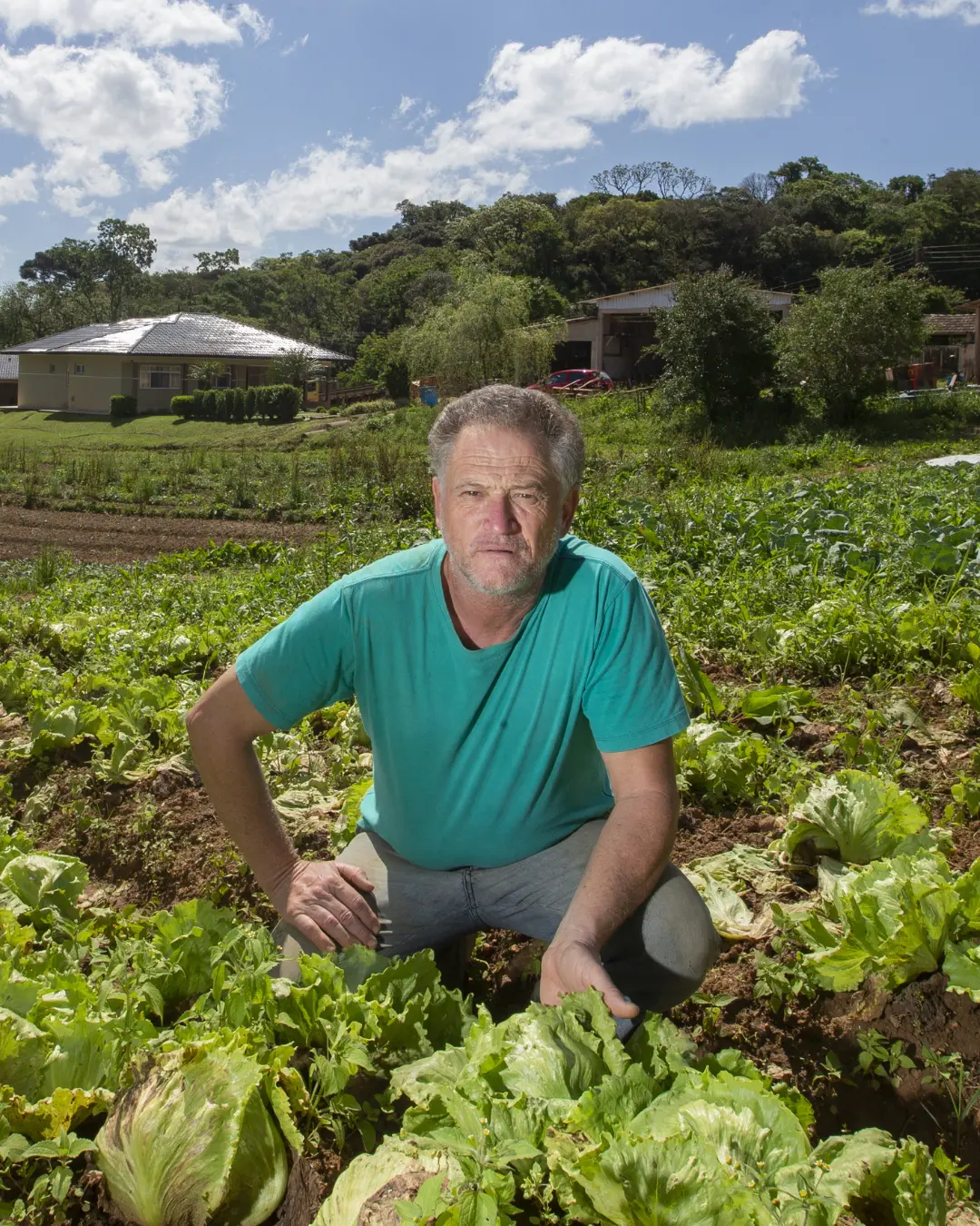 Parceria entre Tecpar e São José dos Pinhais certifica 271 produtores orgânicos em uma década