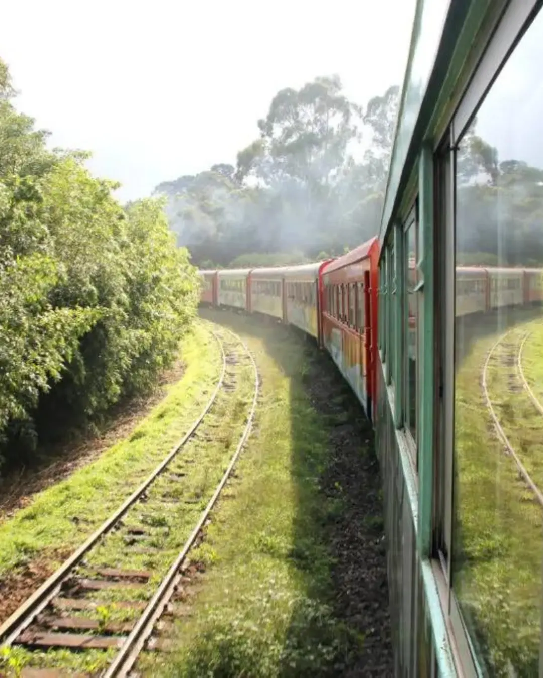 Serra Verde Express amplia operação com passeios às quintas-feiras entre Curitiba e Morretes na pré-temporada de verão