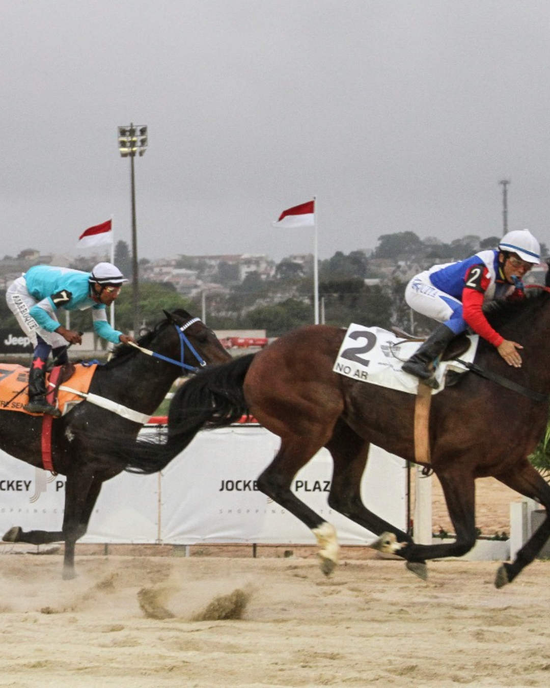 Grande Prêmio Paraná do Jockey Club será realizado na areia em 1º de dezembro