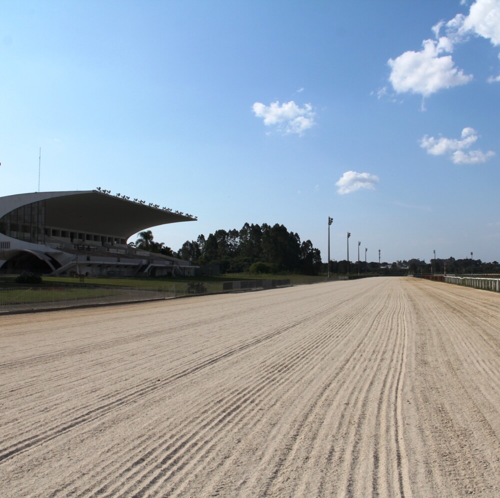 Grande Prêmio Paraná Do Jockey Club Será Realizado Na Areia Em 1º De Dezembro Grande Prêmio Paraná Do Jockey Club Será Realizado Na Areia Em 1º De Dezembro