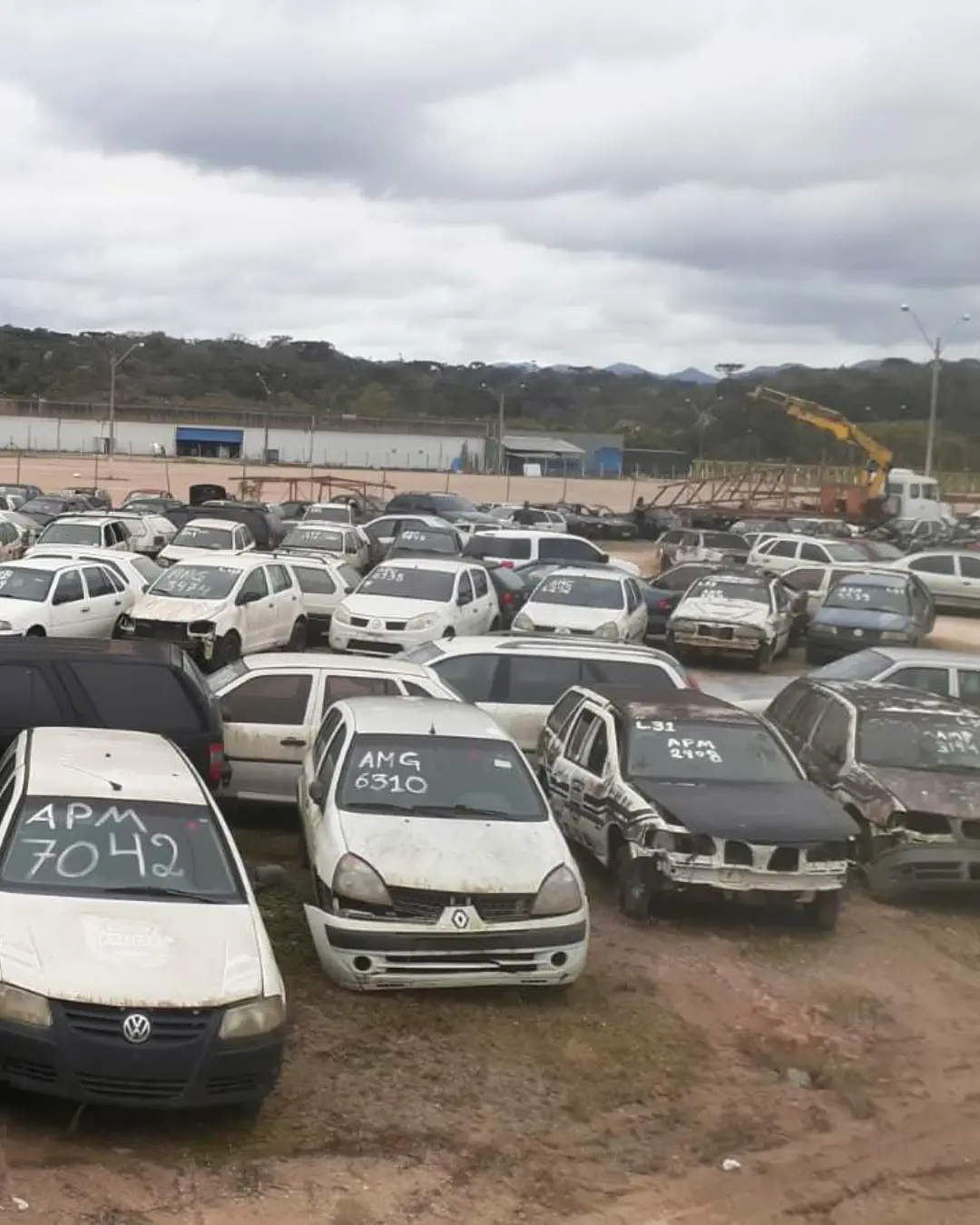 Alerta do Detran-PR: site falso aplica golpes com leilões de veículos