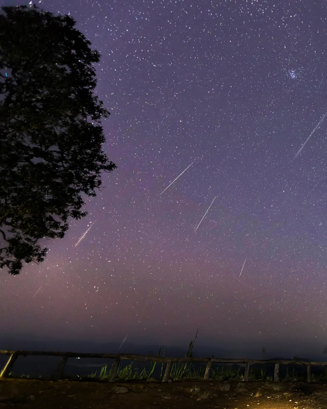 Chuva de meteoros poderá ser vista esta semana; confira dicas para observar em Curitiba