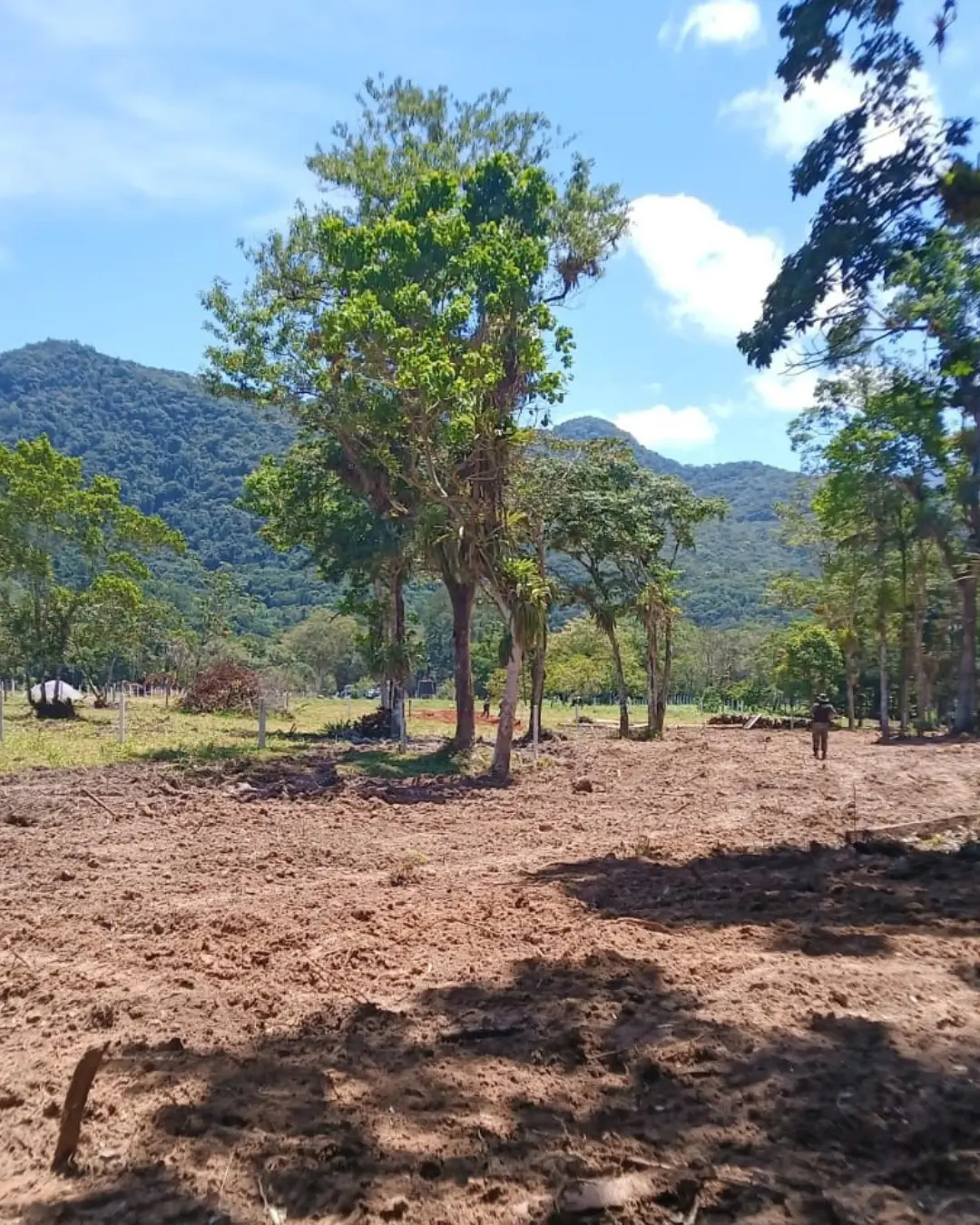 IAT denuncia aumento de fraudes em licenciamento ambiental no Litoral do Paraná