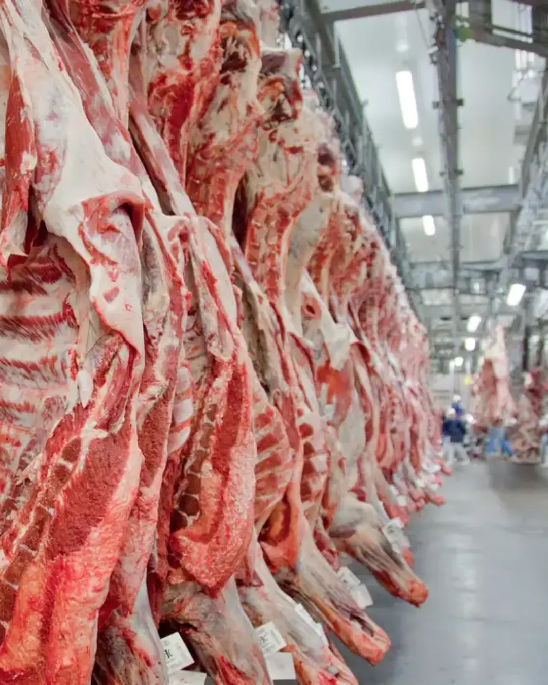 Inflação das carnes alcança 15,43% no ano e especialistas alertam para impacto no consumo