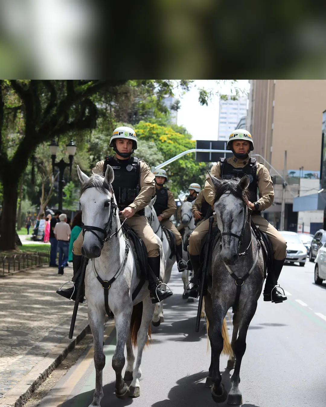 Operação Natal intensifica segurança em áreas comerciais do Paraná durante fim de ano