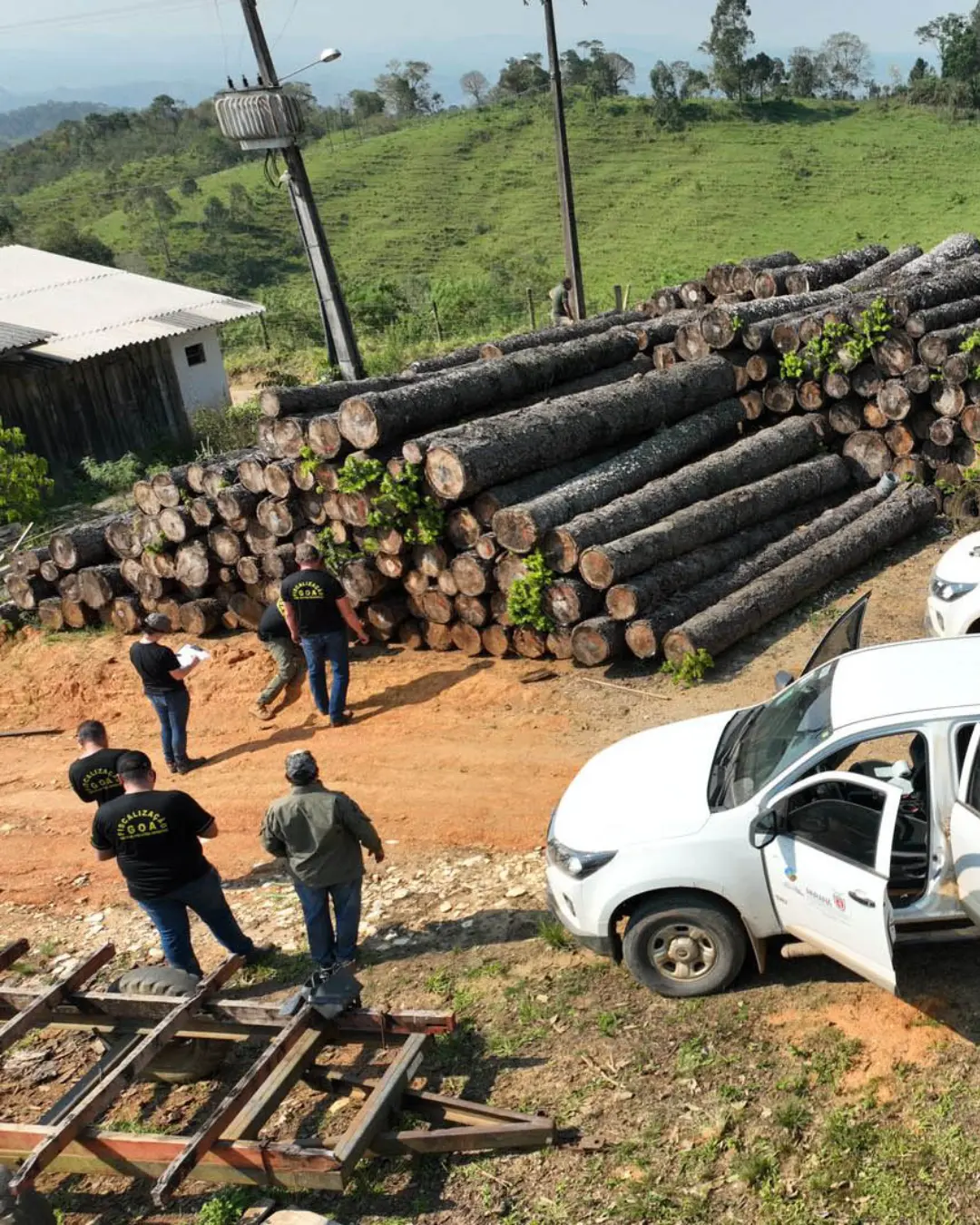 Paraná registra aumento de 24% em multas ambientais e redução expressiva do desmatamento em 2024