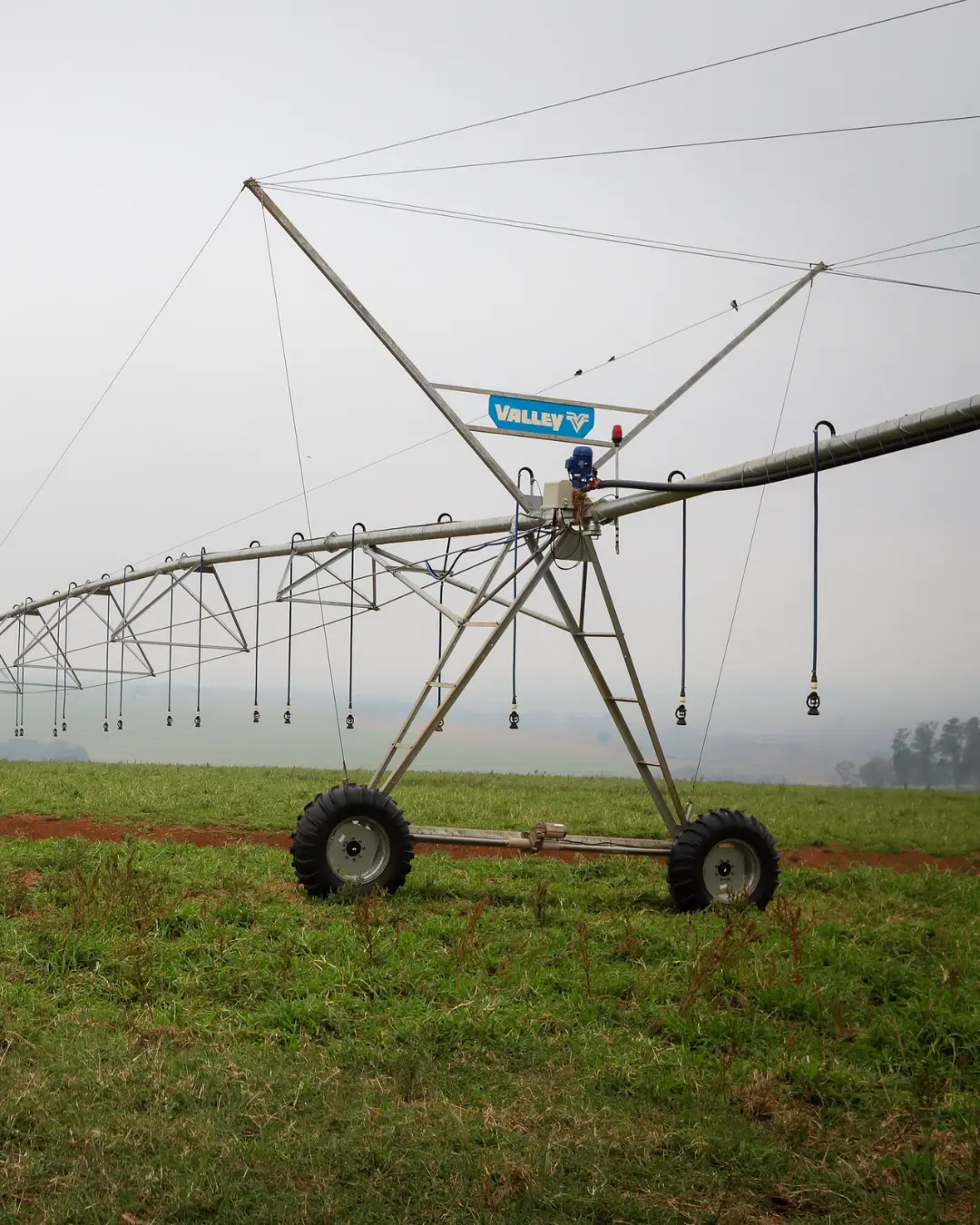 Paraná regulamenta Irriga Paraná com R$ 200 milhões para irrigação agrícola