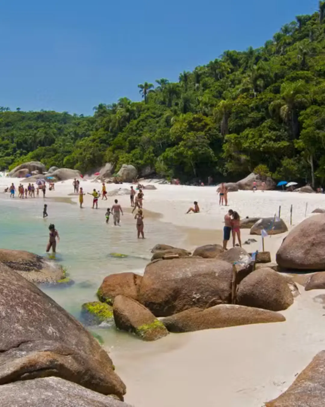 Pix atrai turistas argentinos com taxas vantajosas e movimenta milhões no Brasil