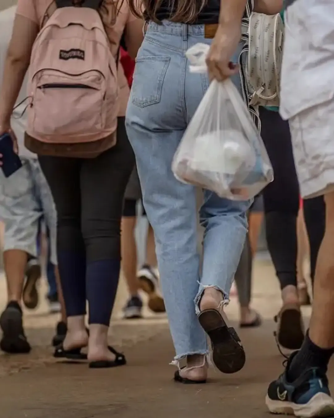 Prouni 2025: inscrições abrem em 24 de janeiro com novas oportunidades para licenciatura