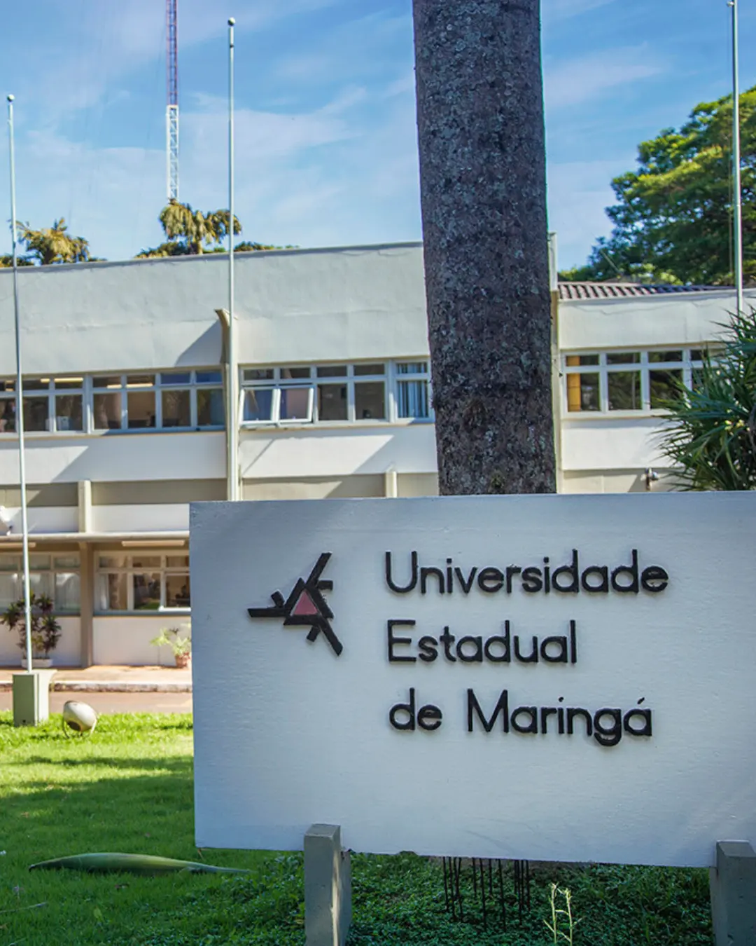 Universidades estaduais do Paraná alcançam destaque global em áreas acadêmicas avaliadas por ranking internacional