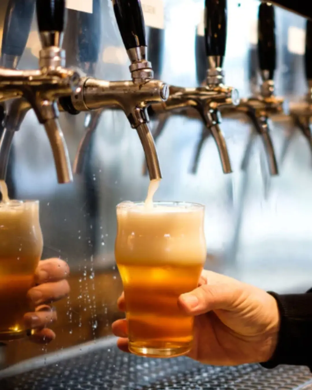 Festival da Cerveja abre agenda de festas no aniversário de 33 anos de Pinhais