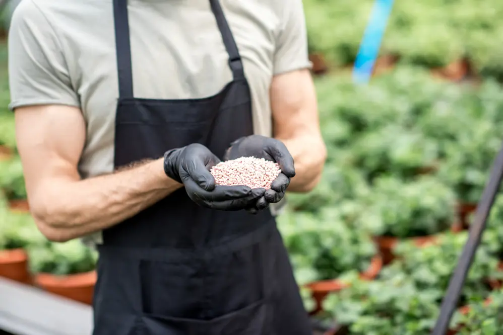 Cooperativa Indiana Desembarca Em Campina Grande Do Sul Para Instalação Da Primeira Fábrica De Nanofertilizantes Do Brasil