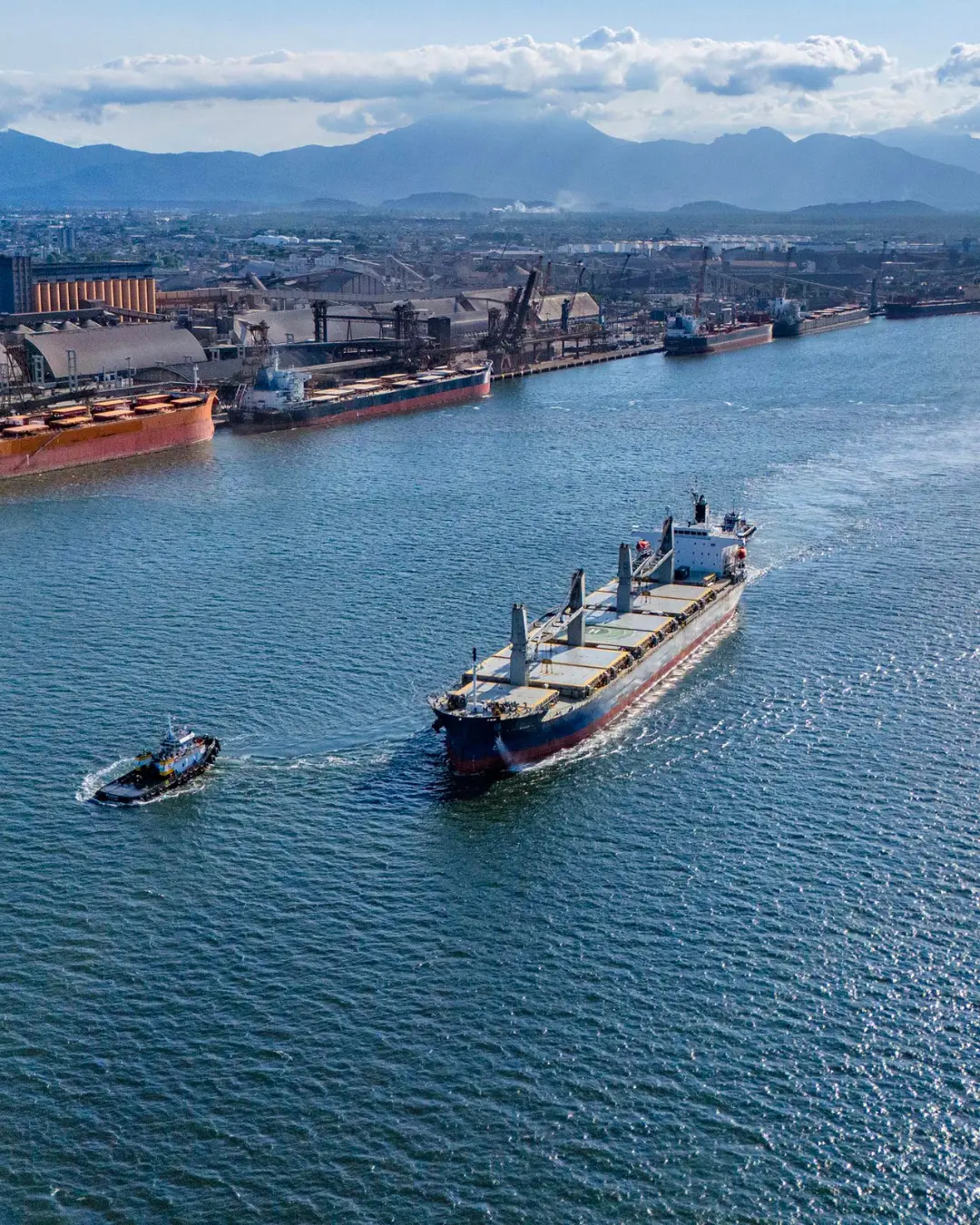 Porto de Paranaguá lidera exportação de óleo vegetal e frango congelado em 2024