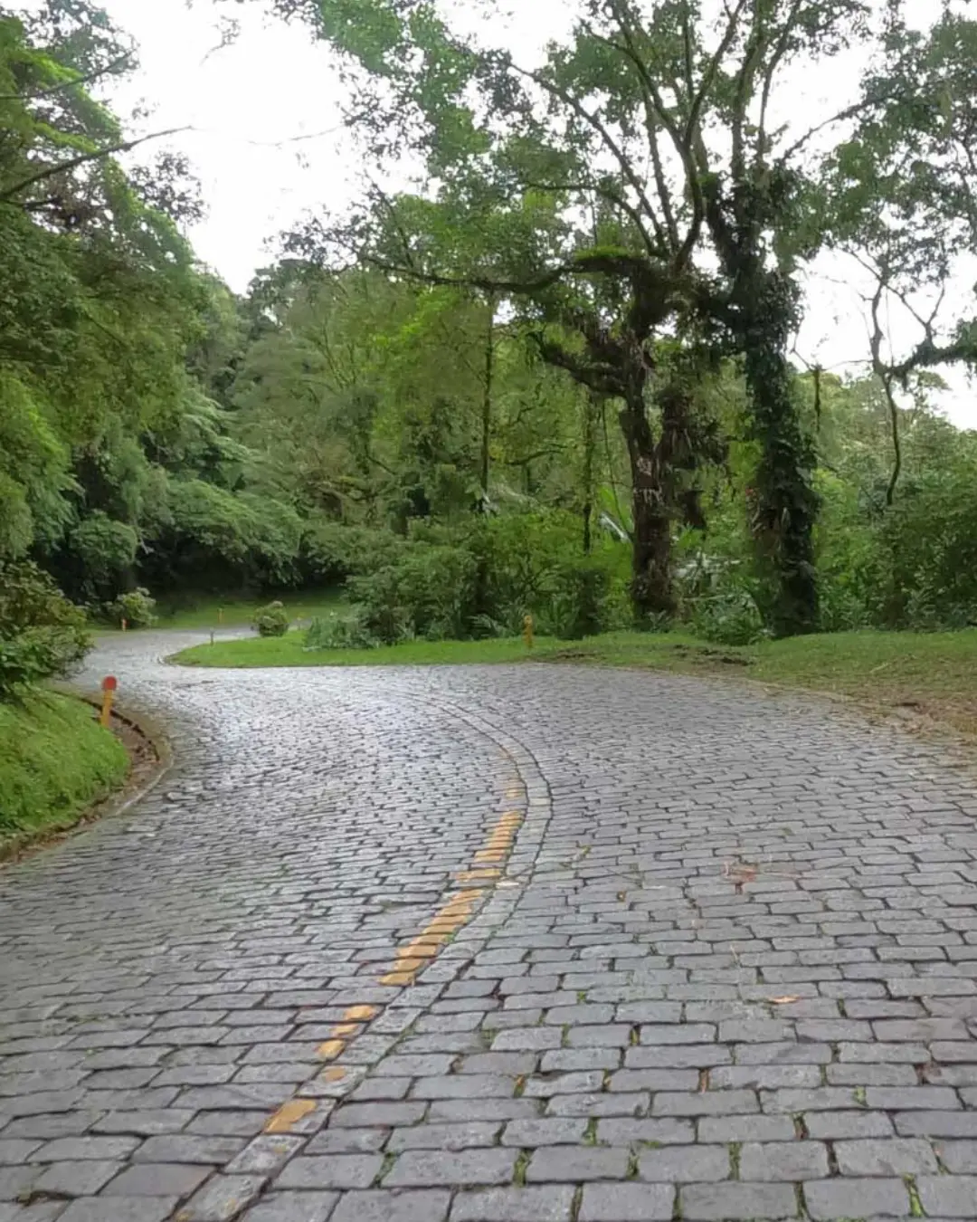 Estrada da Graciosa terá bloqueios para sinalização de 11 a 13 de março