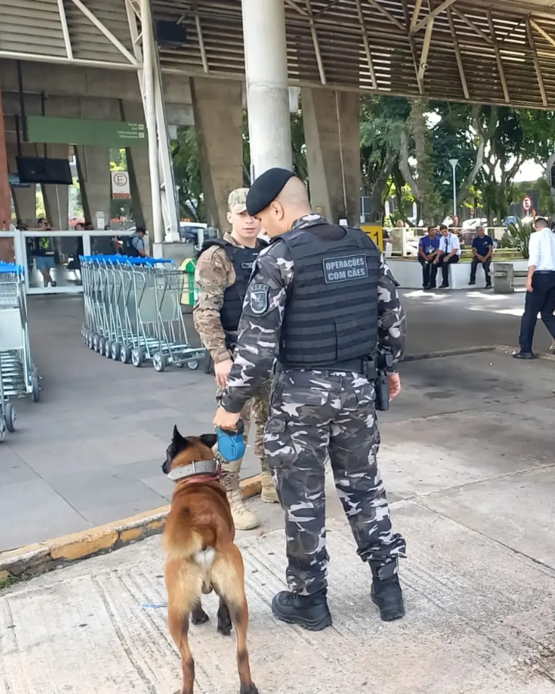 PM apreende 19 quilos de maconha na bagagem de passageira grávida em rodoviária de Curitiba