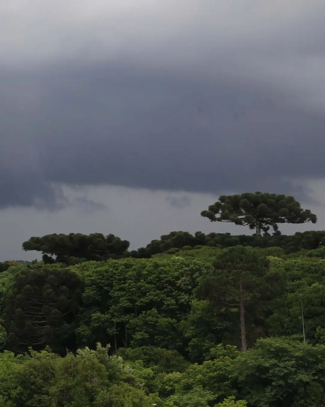 Quarta-feira de Cinzas no Paraná terá risco de temporais e temperaturas altas