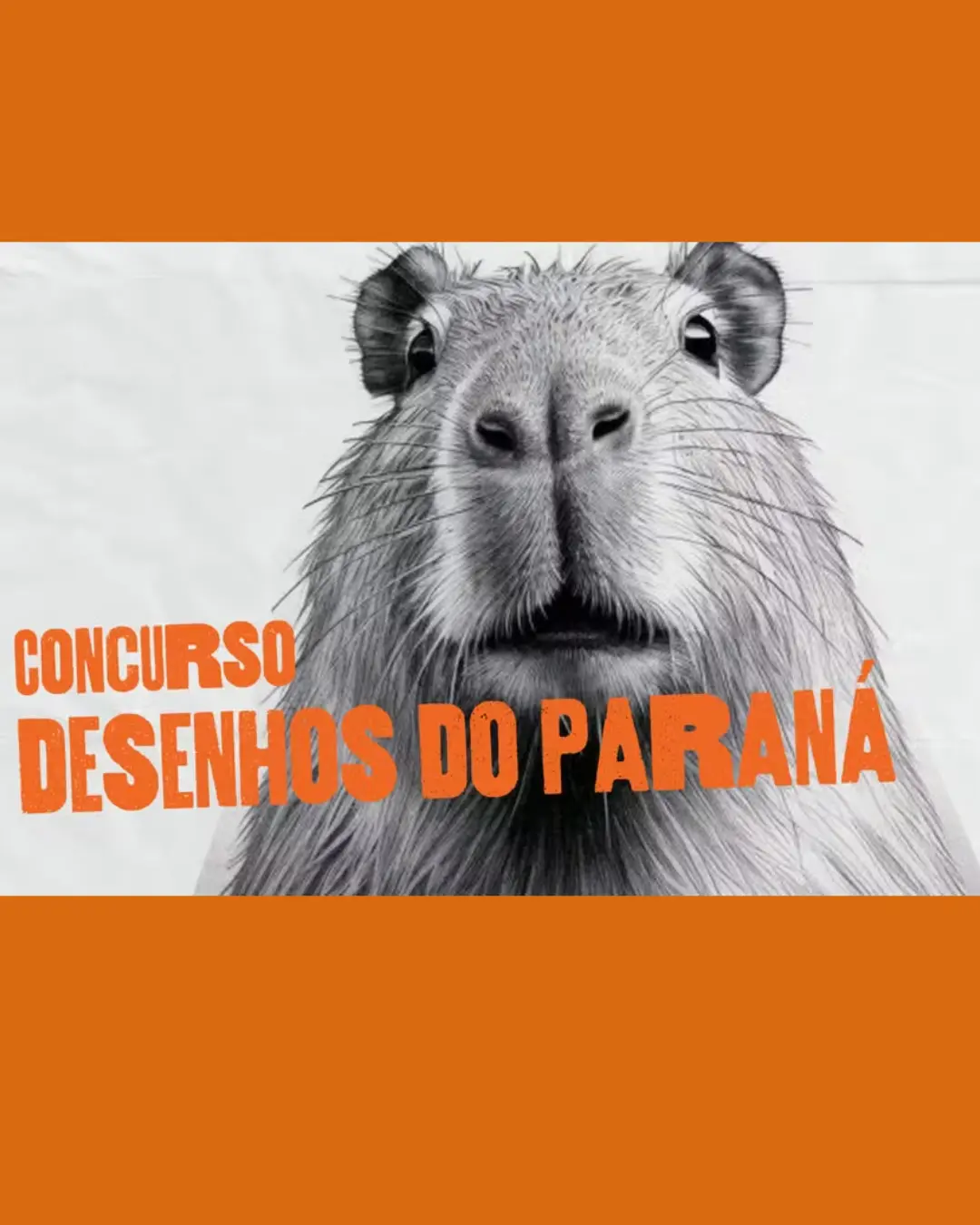 Vencedores do Concurso Desenhos do Paraná são anunciados com quase 200 mil votos