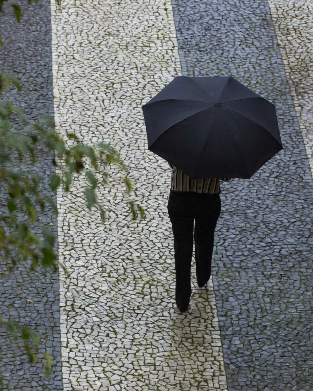 Semana começa com sol no Paraná, mas chuvas retornam na terça-feira com áreas de instabilidade
