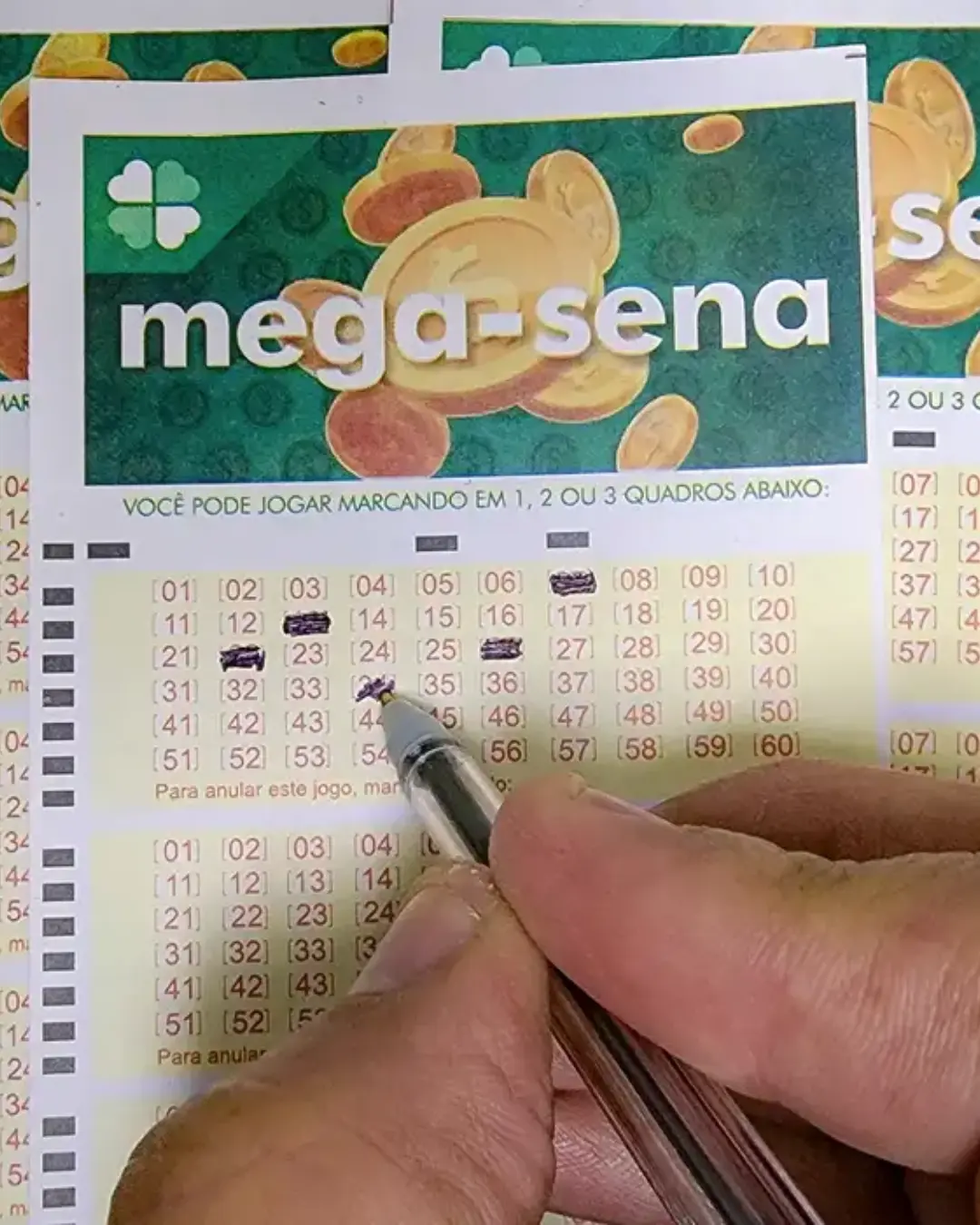 Apostas do Paraná ganham na quina da Mega-Sena; veja números sorteados e detalhes